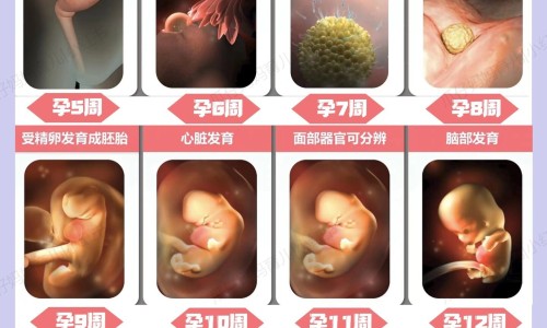 华法林不吃三天要紧吗-华法林少吃的症状网 | 华法林忘记吃可以补吗,华法林吃少了会产生什么后果