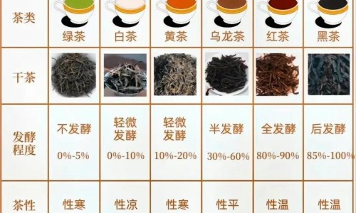 华法林吃少了会有什么症状和后果-华法林少吃的症状网 | 华法林忘记吃可以补吗,华法林吃少了会产生什么后果